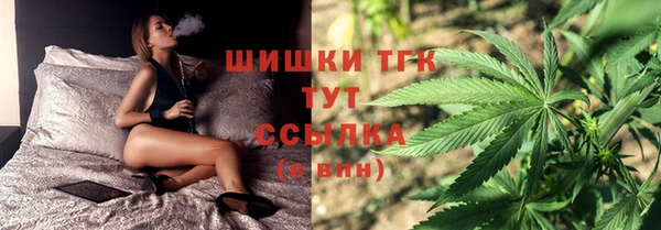 амф Медногорск